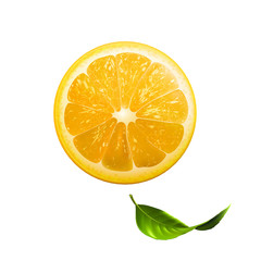 Juicy yellow summer lemon with a branch for lemonade