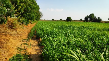 Best images village photos