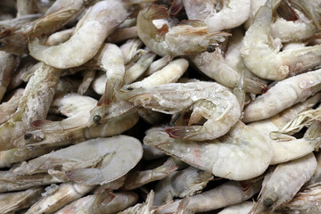frozen shrimp