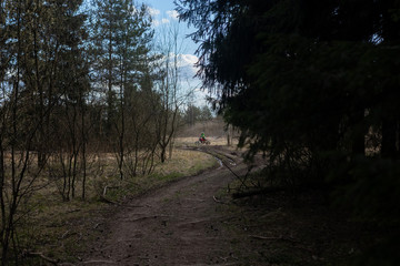 motorcyclist on the background of a forest landscape with a road stretching into the distance