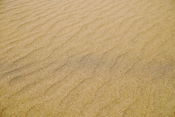 Fototapeta na wymiar Perfect golden sand empty background.