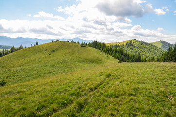 Panoramic view of green grassy valley, high Carpathian mountains near green trees against blue sky. Beauty of nature, tourism, traveling.