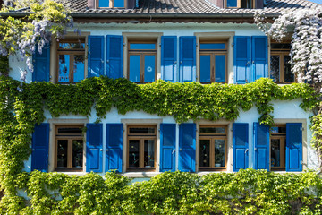 Haus mit blauen Fensterländen in Eppingen