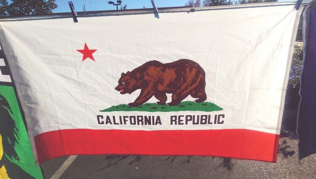 Close Up Of California Republic Flag