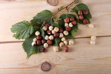 Hazelnuts on table