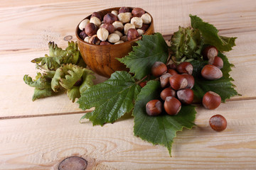 Hazelnuts on table