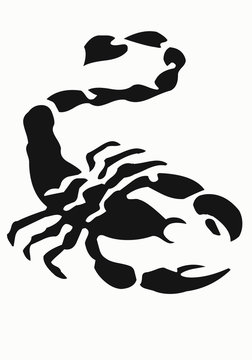 Tatoo vector illustration of a black scorpion