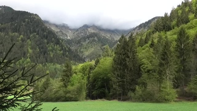 suoni colori della primavera nelle prealpi