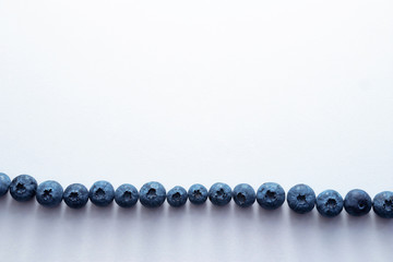 a row of ripe blueberries on a white background