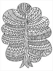 Oak tree coloring book page. Detailed stylized black outline isolated on white. Forest plant with ornament stock vector illustration. Floral wood with trunk and leaves. One of a series.