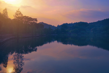 Forest lake sundown, water reflections.      