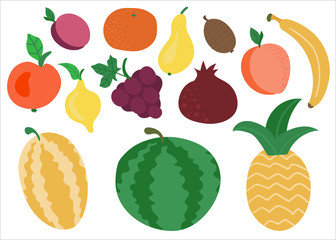 big set of colorful hand drawn fresh delicious fruits isolated on white background.