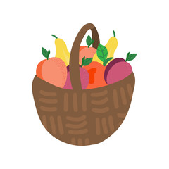 basket with fruit. Mesh eco bag full of fruits isolated on white background. Modern shopper with fresh organic food from local market.