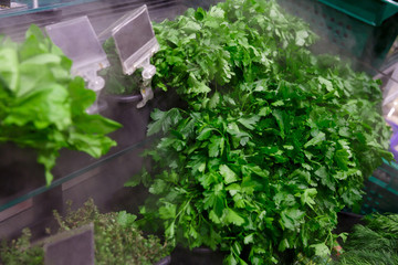 Fototapeta na wymiar fresh parsley on the counter in the store