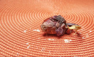 onion and circular red doily