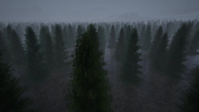 Night landscape forest fog rain 4k