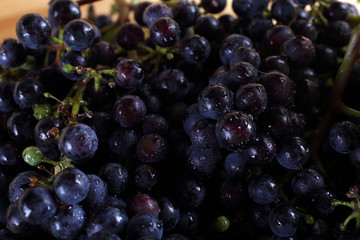 Black wine grape