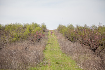 Woman blonde in pink dress runs the road