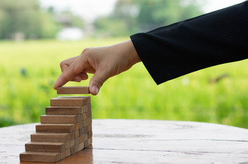 creat and complete ladder using the wooden blocks: Business build-up  