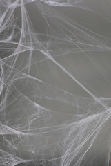 white spider web on gray background