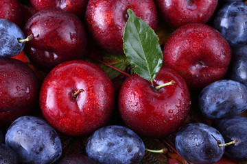 Plums on autumn leaves