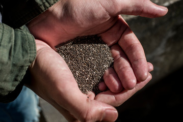 young woman with chia seeds in her hands showing the current trend towards a healthy and balanced organic diet