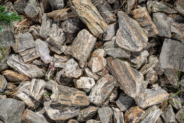 crushed rocks in the garden