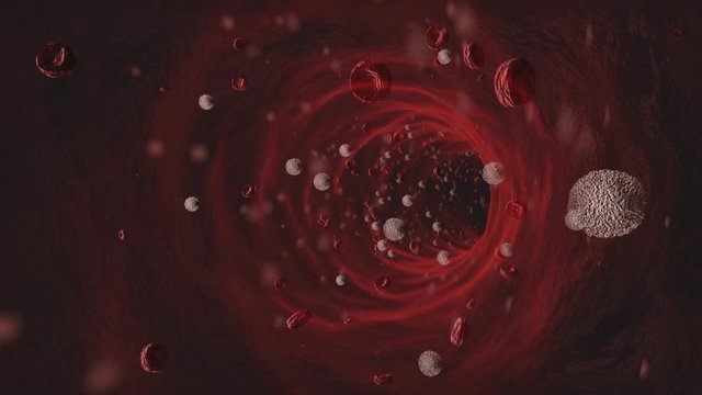red and white blood cell flow inside human body  veins animation cgi 3d pov
