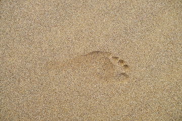 Fototapeta na wymiar Fine delicate and shallow footprint in the sand.