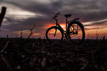 Obraz premium Bike in Sunset 