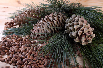 Cedar pine nuts