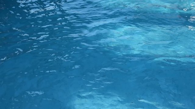 the wave of water in swimming poon in sunny day 