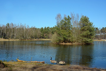 Teich Holmer Sanddünen