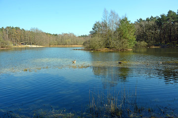 Teich Holmer Sanddünen