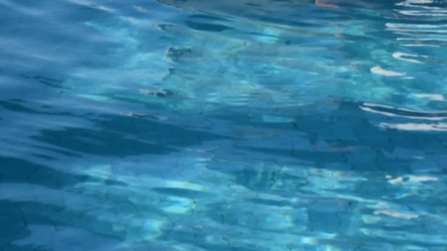 the wave of water in swimming poon in sunny day 