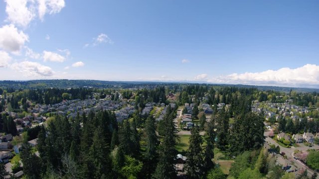 Washington State Housing Market Aerial Background with Lush Evergreen Trees