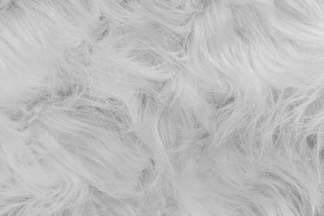White soft wool texture, abstract fluffy fur background