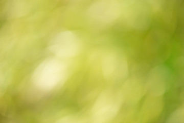 Obraz premium Backgrounds of lights and colors of nature