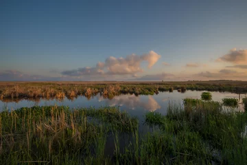 Foto op Plexiglas Sunset over the marsh at Mackay Island Wildlife Refuge in North Carolina © Michael