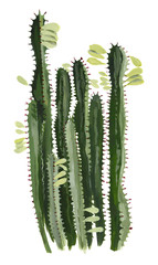 Cactus. Houseplants. Gouache hand drawn illustration