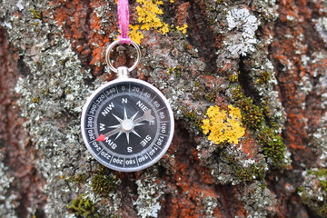 Old compass. Navigation compass. Classic compass. Traditional compass on wood background.