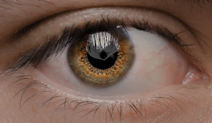 Naklejka premium close up of eye