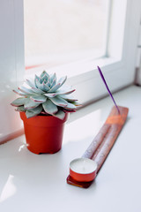 Minimalist decoration of a cactus, incense and a candle in a window