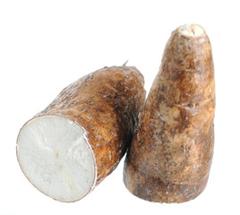  cassava (yucca)