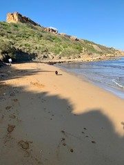 Black Dog runs in Tuffieha Bay beach 