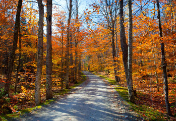 Fall Foliage Hiking Upstate New York Adirondacks