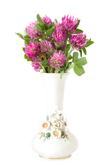 Fresh close up red Clover (Trifolium pratense)  flowers in retro white vase isolated on white background.