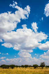 Obraz na płótnie Canvas Cumulus clouds
