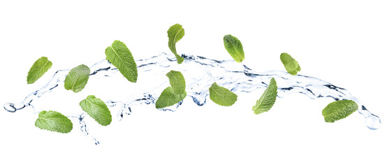 Set of flying green mint leaves with splash of water on white background. Banner design