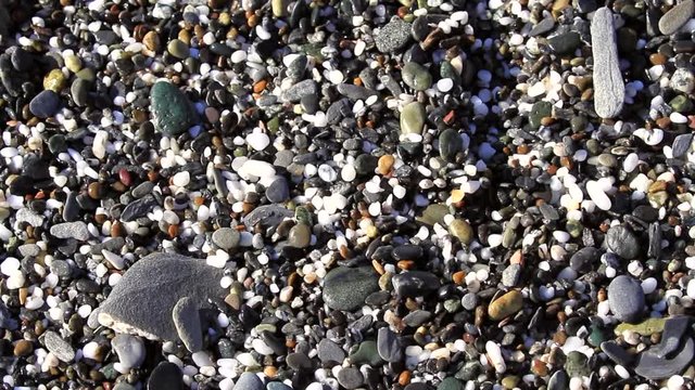 walking the beach looking for treasures and polished rocks like the ever popular agate in Gold Beach Oregon
